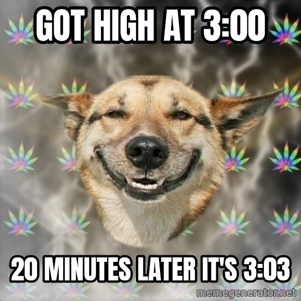 Stoner Dog meme: got high at 3:00 / 20 minutes later it's 3:03