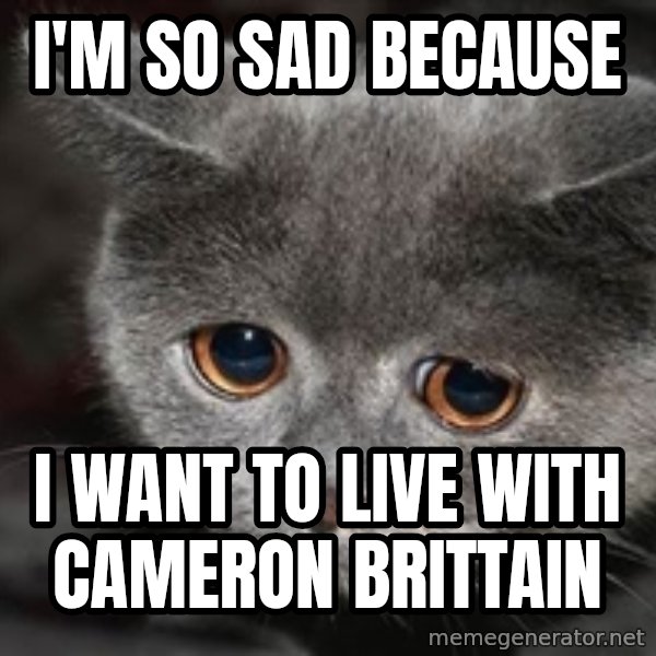 Sadcat meme: I'm so sad because / I want to live with Cameron Brittain