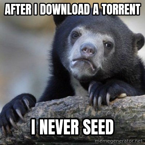 Confession Bear meme: AFter i download a torrent / i never seed