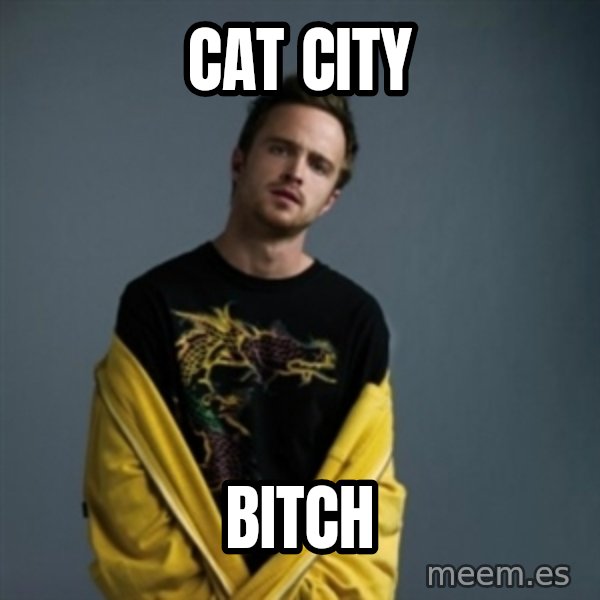 Jesse Pinkman meme: cat city / bitch