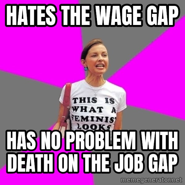 Feminist Cunt meme: HATES THE WAGE GAP / HAS NO PROBLEM WITH DEATH ON THE JOB GAP