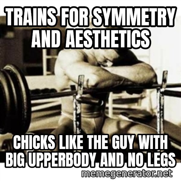 Sad Bodybuilder meme: TRAINs FOR symmetry and aesthetics / Chicks like the guy with big upperbody and no legs