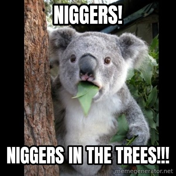 Koala can't believe it meme: NIGGERS! / NIGGERS IN THE TREES!!!