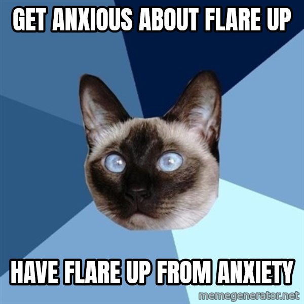 Chronic Illness Cat meme: get anxious about flare up / have flare up from anxiety