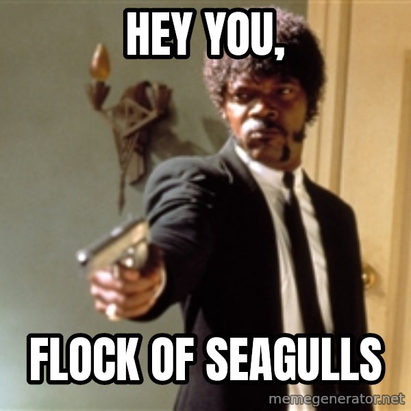Samuel L Jackson meme: hey you, / flock of seagulls