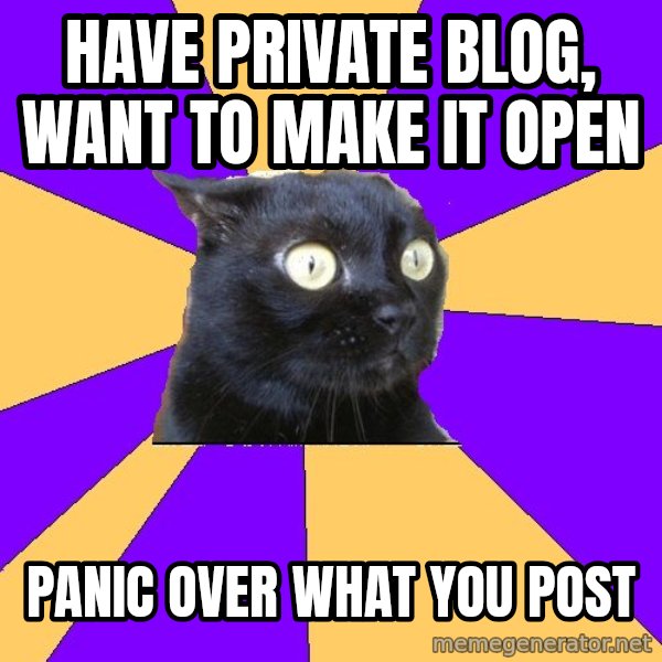 Anxiety Cat meme: have private blog, want to make it open / panic over what you post