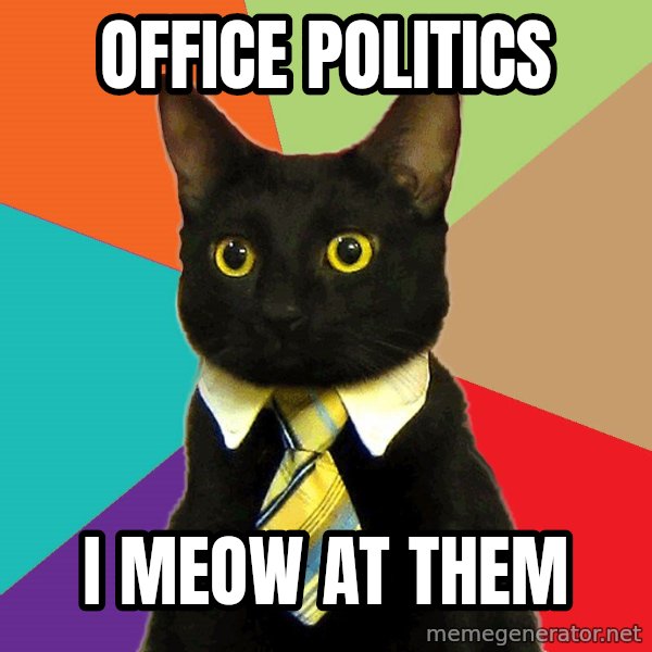 Business Cat meme: Office politics / I Meow at them