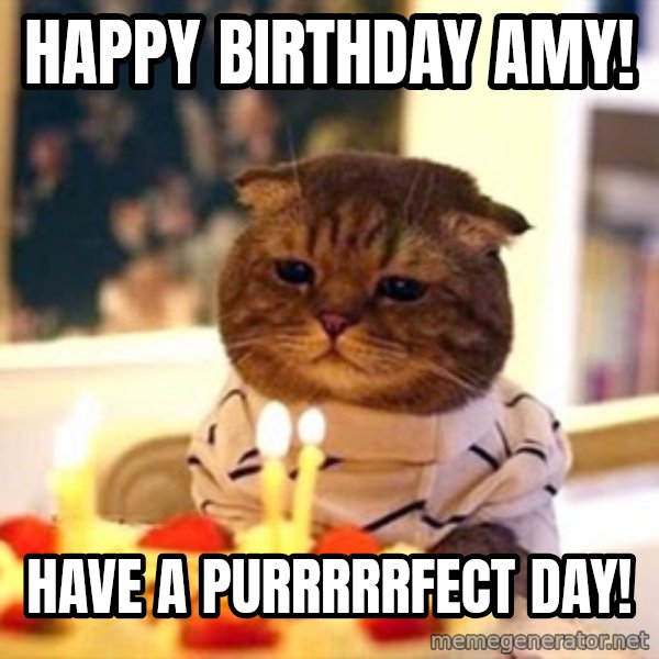 Birthday Cat meme: Happy Birthday Amy! / Have a Purrrrrfect day!