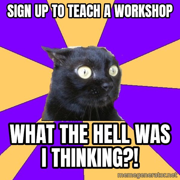 Anxiety Cat meme: Sign up to teach a workshop / WHat the hell was I thinking?!