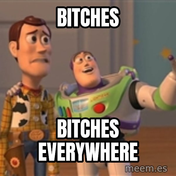 ORIGINAL TOY STORY meme: biTches / bitches everywhere
