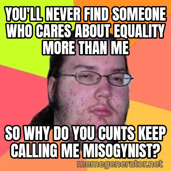 Butthurt Dweller meme: You'll never find someone who cares about equality More than me / so why do you cunts keep calling me misogynist?