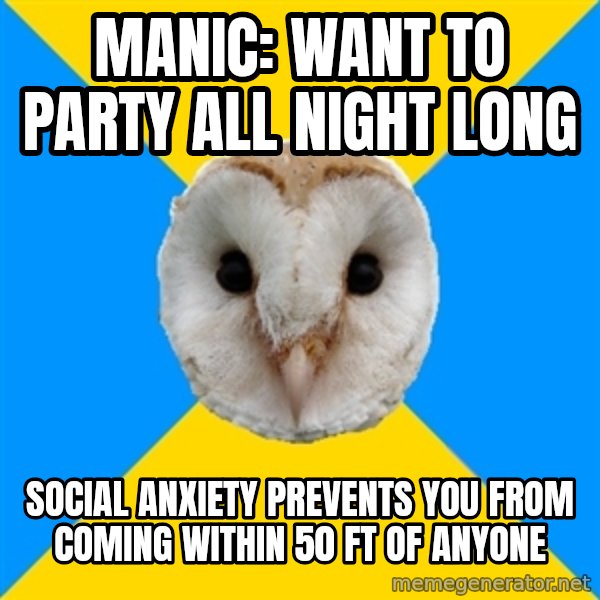 Bipolar Owl meme: Manic: want to party all night long / social anxiety prevents you from coming within 50 ft of anyone