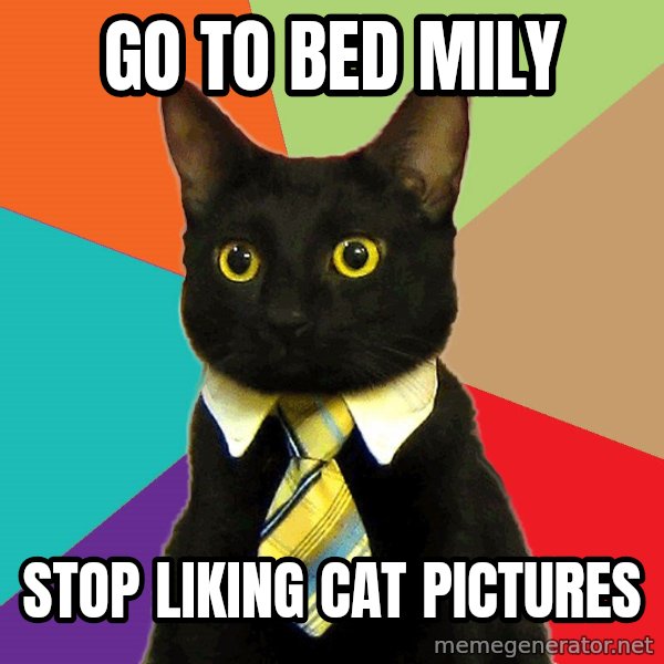 Business Cat meme: Go to bed mily / stop liking cat pictures
