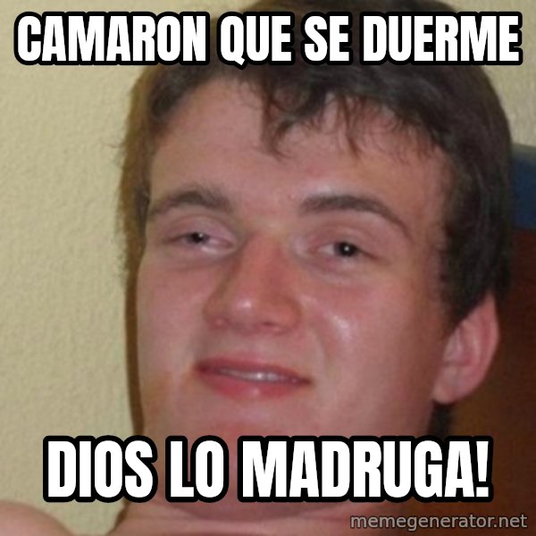 really high guy meme: Camaron que se duerme / dios lo madruga!