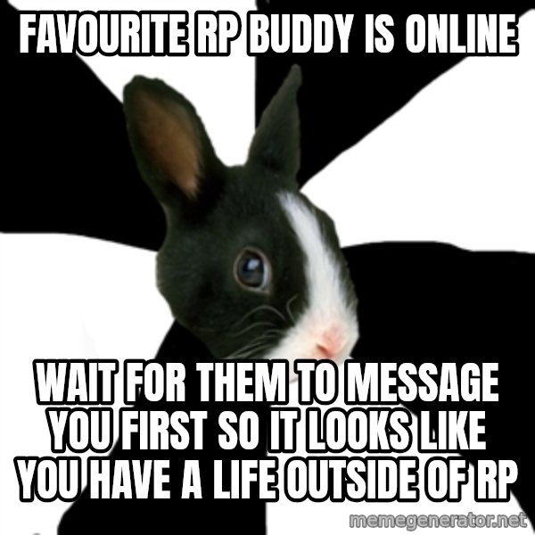 Roleplaying Rabbit meme: favourite rp buddy is online / wait for them to message you first so it looks like you have a life outside of rp