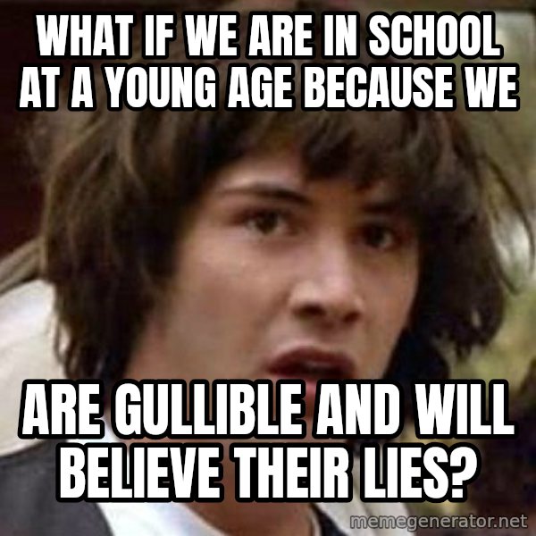 Conspiracy Keanu meme: what if we are in school at a young age because we / are gullible and will believe their lies?