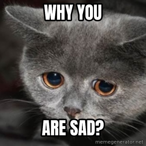 Sadcat meme: Why you / are sad?