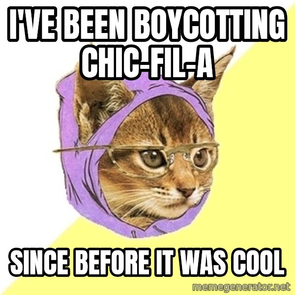 Hipster Kitty meme: i've been boycotting chic-fil-a / since before it was cool