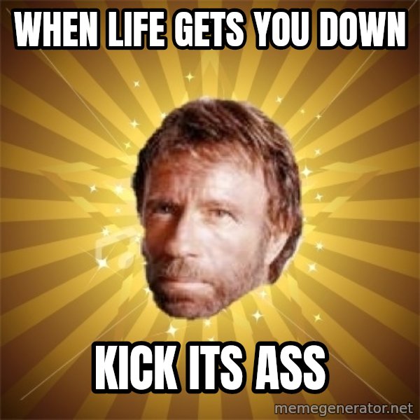 Chuck Norris Advice meme: When life gets you down / Kick its ass