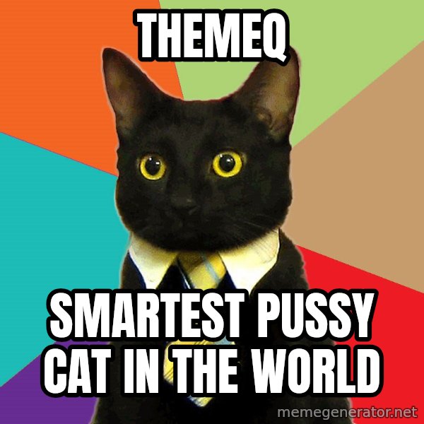 Business Cat meme: TheMeq / smartest pussy cat in the world