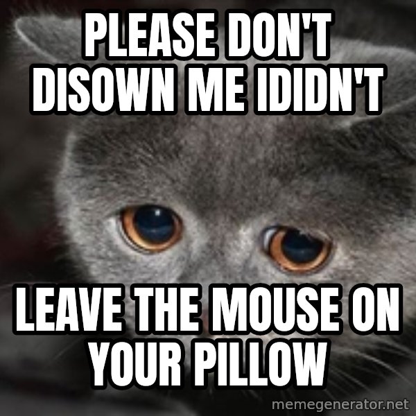 Sadcat meme: please don't disown me ididn't / leave the mouse on your pillow