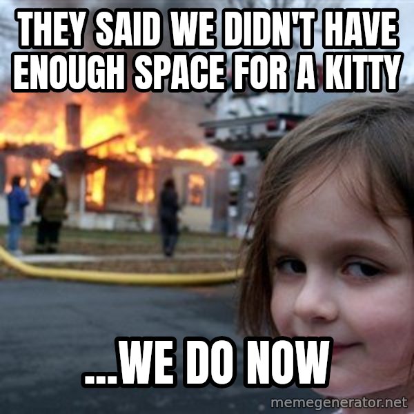 Disaster Girl meme: They said we didn't have enough space for a kitty / ...We do now