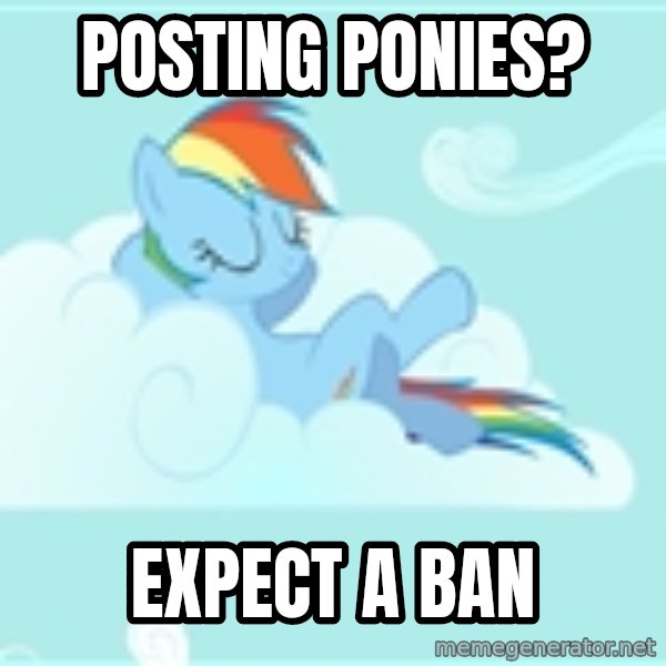My Little Pony meme: Posting ponies? / Expect a ban