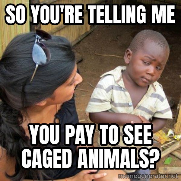 skeptical black kid meme: so you're telling me / you pay to see caged animals?