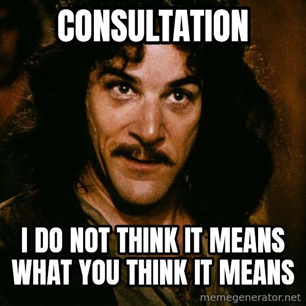 Inigo Montoya meme: Consultation / I do not think it means what you think it means