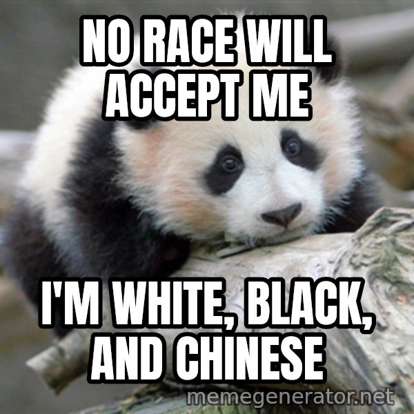 sad panda meme: No race will accept me / I'm White, Black, and Chinese