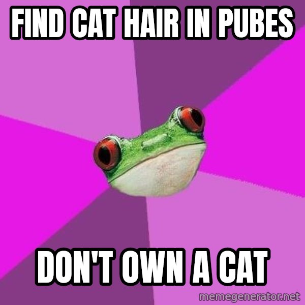 Foul Bachelorette Frog meme: Find cat hair in pubes / don't own a cat