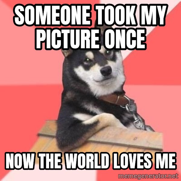 Cool Dog meme: someone took my picture once / now the world loves me