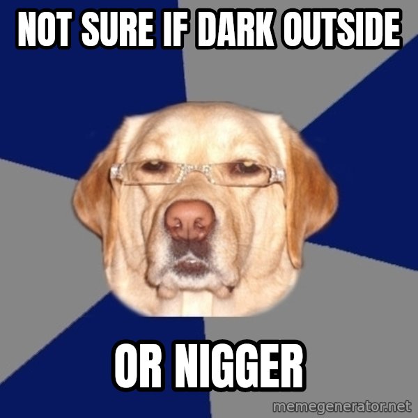 Racist Dawg meme: not sure if dark outside / or nigger