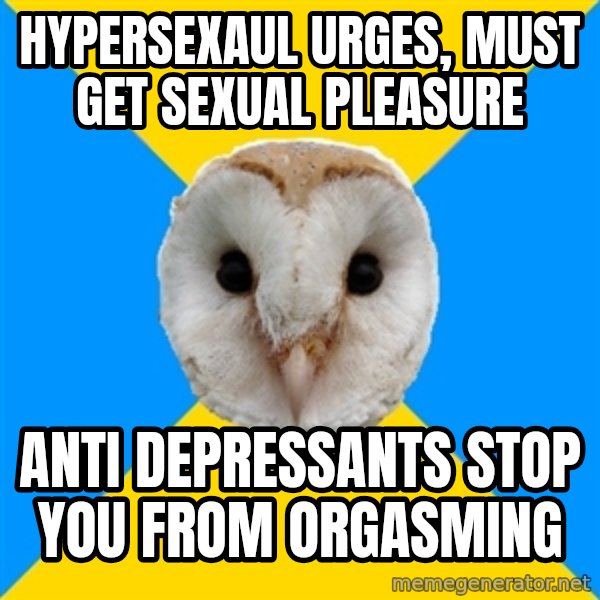Bipolar Owl meme: Hypersexaul urges, must get sexual pleasure / anti depressants stop you from orgasming