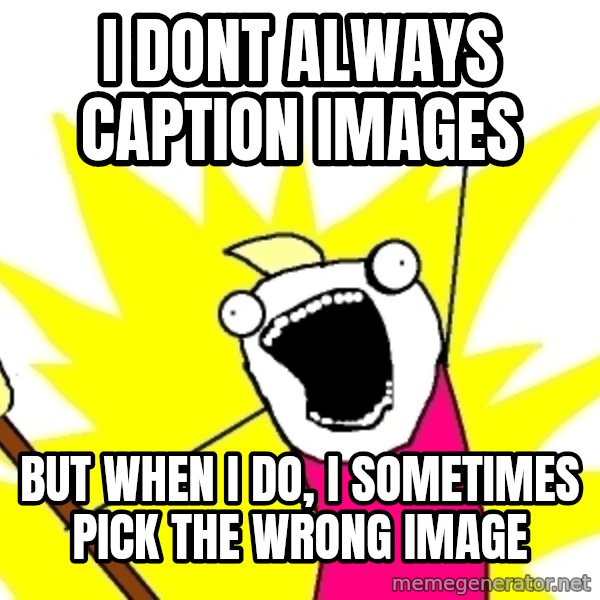 X ALL THE THINGS meme: i dont always caption images / but when i do, i sometimes pick the wrong image