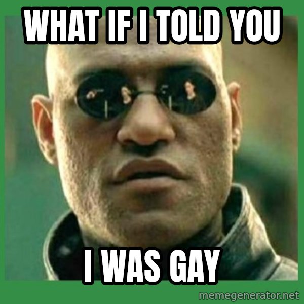 Matrix Morpheus meme: WHAT IF I TOLD YOU / I WAS GAY