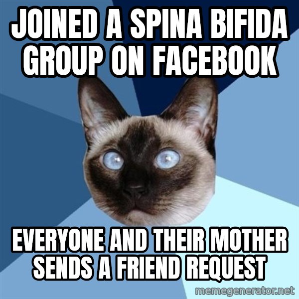 Chronic Illness Cat meme: Joined a spina bifida group on facebook / everyone and their mother sends a friend request