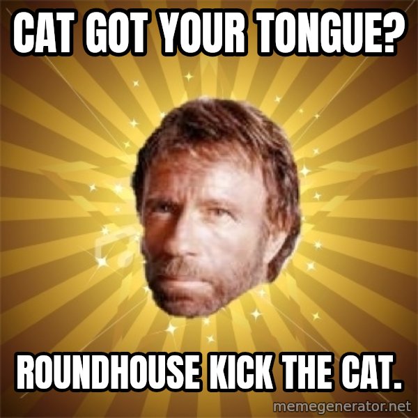 Chuck Norris Advice meme: cat got your tongue? / roundhouse kick the cat.