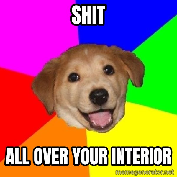 Advice Dog meme: SHIT / ALL OVER YOUR INTERIOR