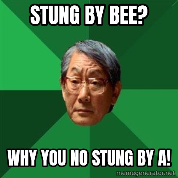 High Expectations Asian Father meme: Stung By Bee? / Why you no stung by A!