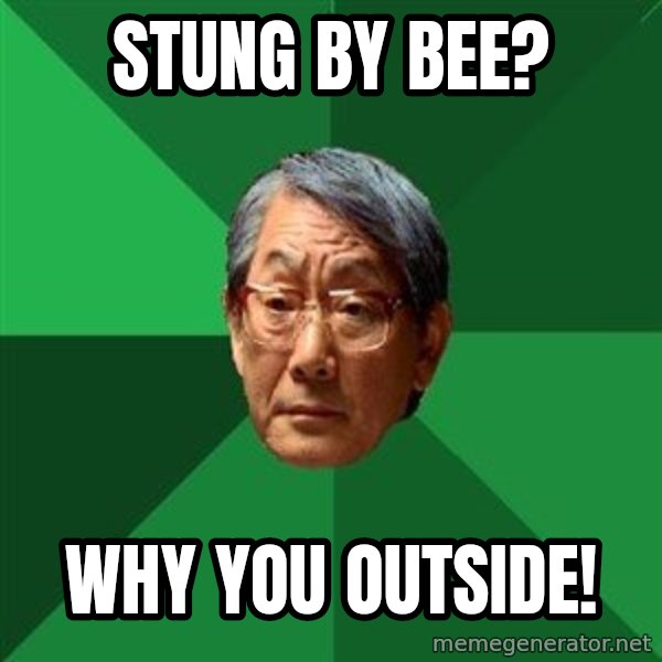 High Expectations Asian Father meme: stung by bee? / why you outside!