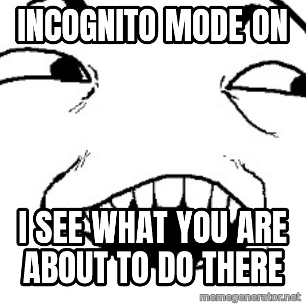 I see what you did there meme: Incognito mode ON / I see what you are about to do there