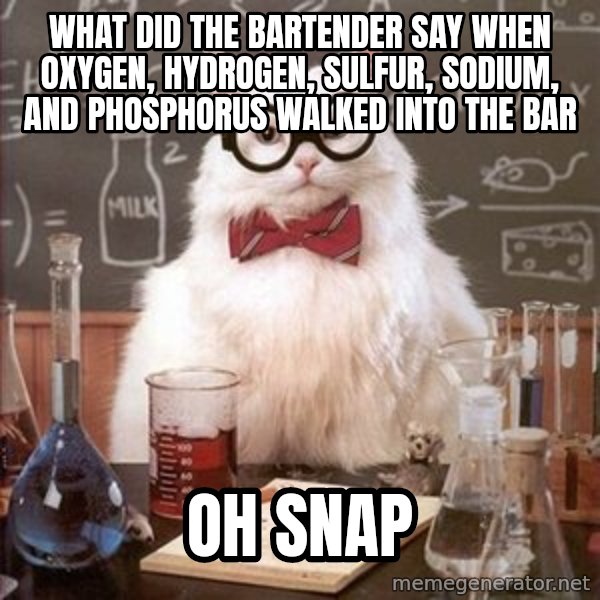 Chemistry Cat meme: What did the bartender say when oxygen, hydrogen, sulfur, sodium, and phosphorus walked into the bar / Oh Snap