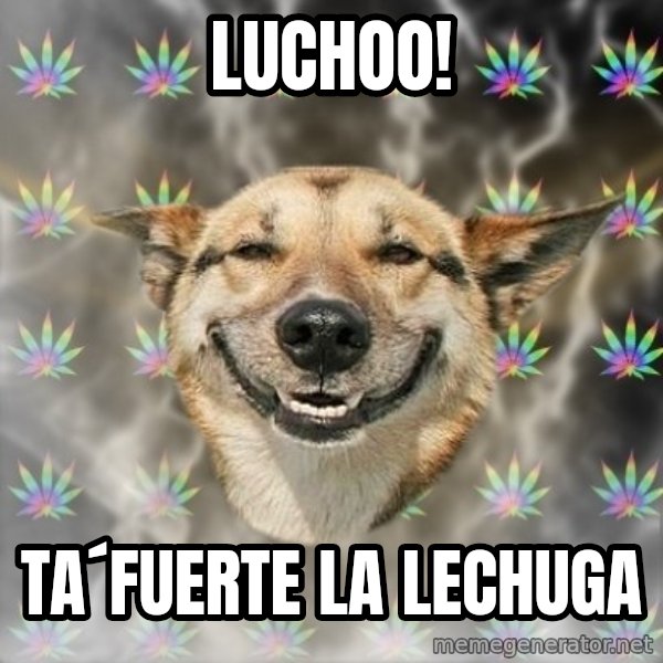 Stoner Dog meme: Luchoo! / ta´fuerte la lechuga