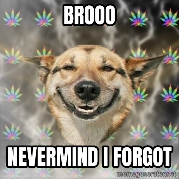 Stoner Dog meme: BROOO / Nevermind i forgot