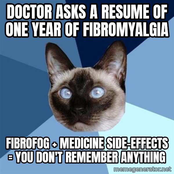 Chronic Illness Cat meme: Doctor asks a resume of one year of fibromyalgia / Fibrofog + medicine side-effects = you don't remember anything