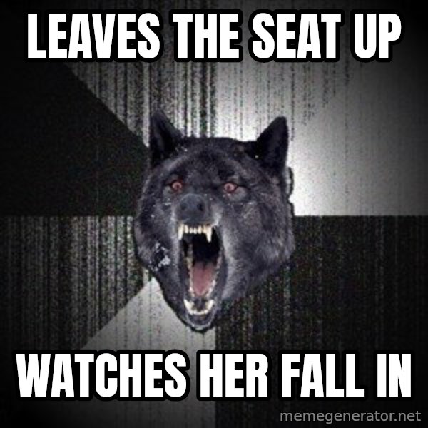 Insanity Wolf meme: leaves the seat up / watches her fall in