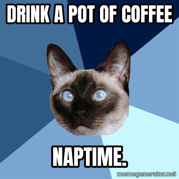 Chronic Illness Cat meme: DRINK A POT OF COFFEE / NAPTIME.