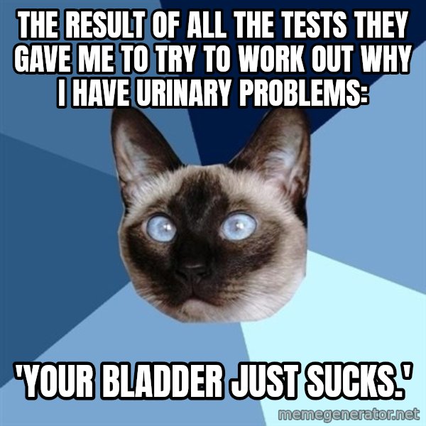 Chronic Illness Cat meme: the result of all the tests they gave me to try to work out why i have urinary problems: / 'your bladder JUST sucks.'