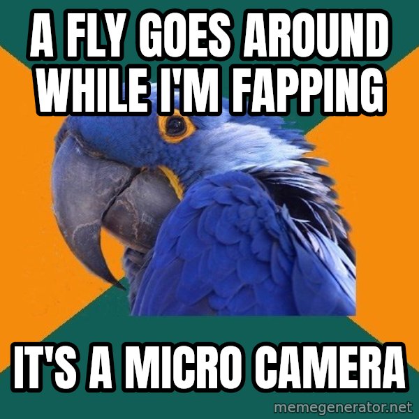 Paranoid Parrot meme: a fly goes around while i'm fapping / it's a micro camera